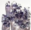 20 11mm Transparent Grey & Montana Two Tone Bell Flower Beads